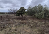 Detached villa with land for sale on España, Arcos de la Frontera, ref: TR361048 photo