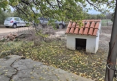 Detached villa with land for sale on España, Arcos de la Frontera, ref: TR361048 photo
