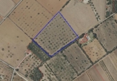 Terreno no urbanizable en venta en la España, Campos, ref: TR391528 foto