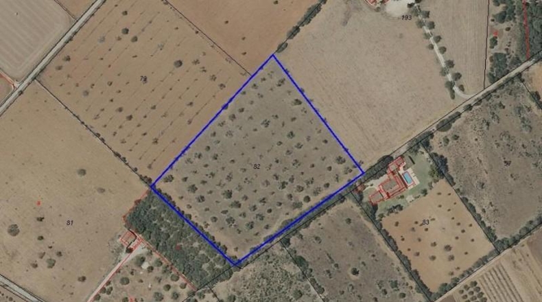 Balearic Islands - Campos - 14200m2