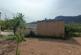 Foto 15