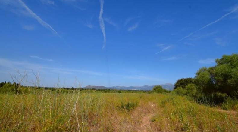 Balearic Islands - Muro - 27770m2