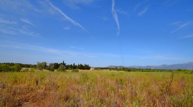 Balearic Islands - Muro - 27770m2