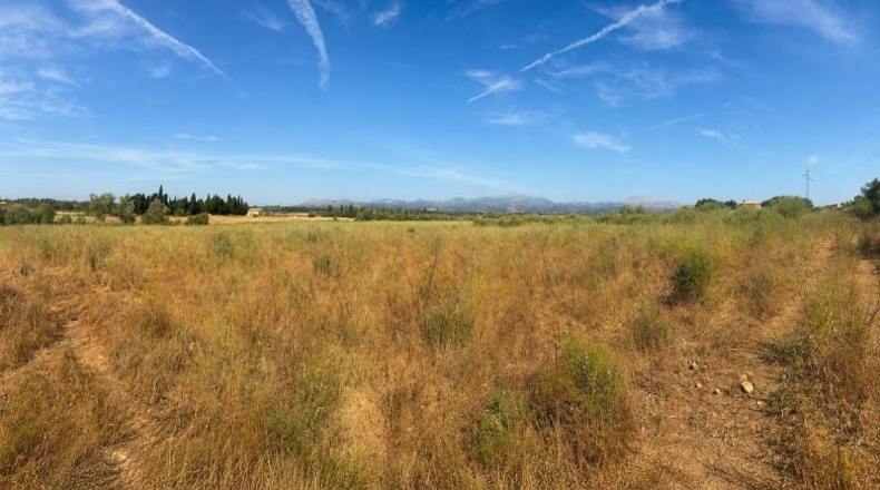 Balearic Islands - Muro - 27770m2