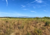 Non-developable land for sale on España, Muro, ref: TR414909 photo