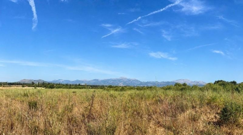 Balearic Islands - Muro - 27770m2