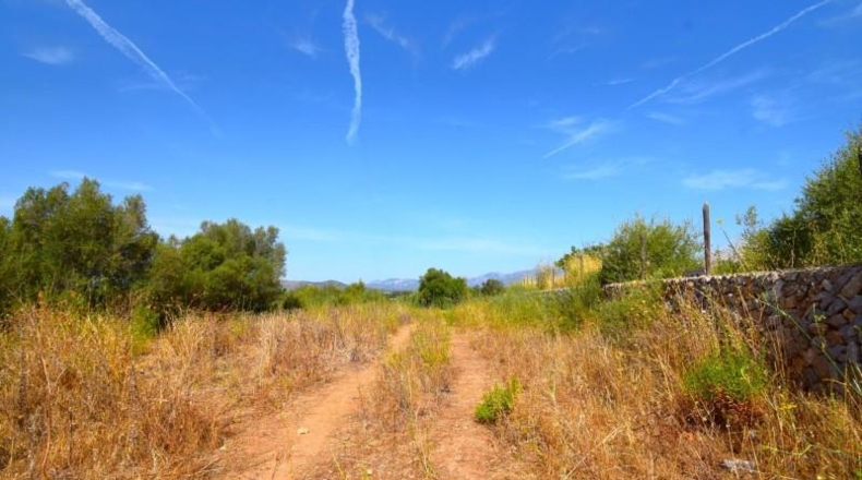 Balearic Islands - Muro - 27770m2