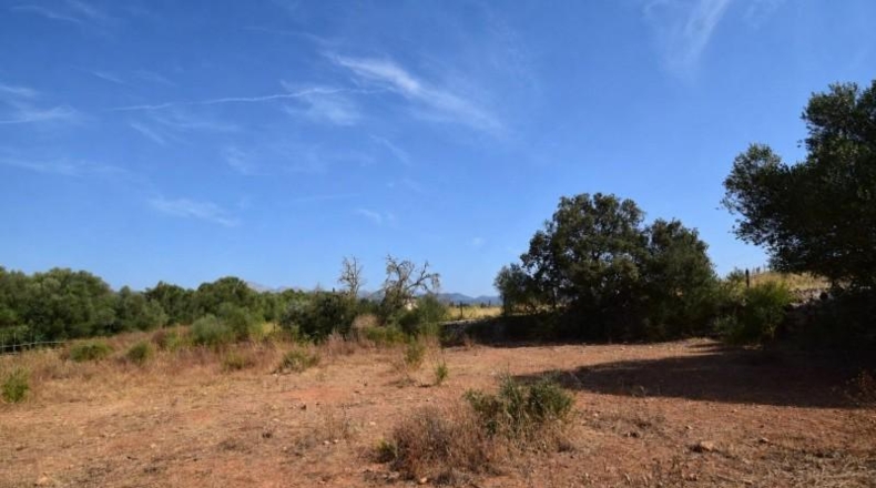 Balearic Islands - Muro - 27770m2