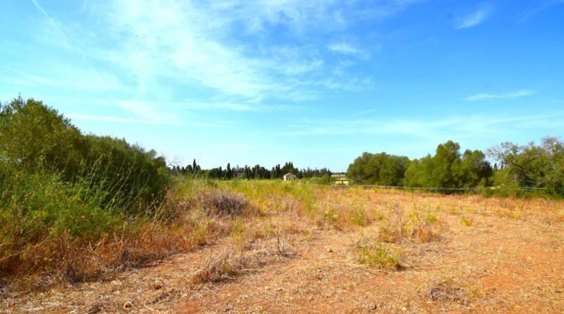 Balearic Islands - Muro - 27770m2