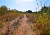 Non-developable land for sale on España, Muro, ref: TR414909 photo