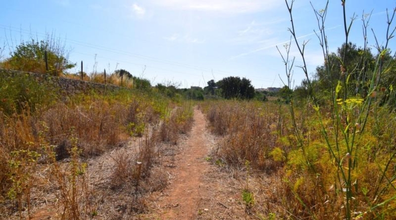 Balearic Islands - Muro - 27770m2