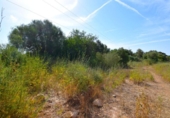 Non-developable land for sale on España, Muro, ref: TR414909 photo
