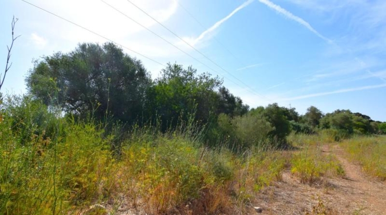 Balearic Islands - Muro - 27770m2