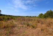 Non-developable land for sale on España, Muro, ref: TR414909 photo