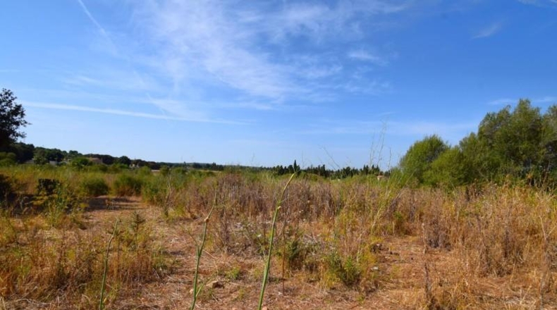 Balearic Islands - Muro - 27770m2