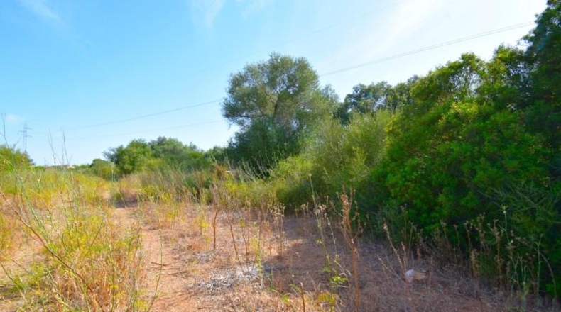Balearic Islands - Muro - 27770m2
