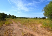 Non-developable land for sale on España, Muro, ref: TR414909 photo