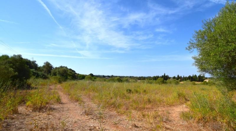 Balearic Islands - Muro - 27770m2