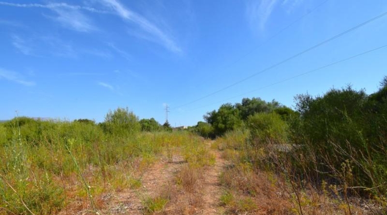 Balearic Islands - Muro - 27770m2