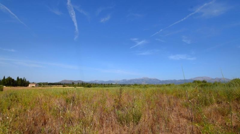 Balearic Islands - Muro - 27770m2