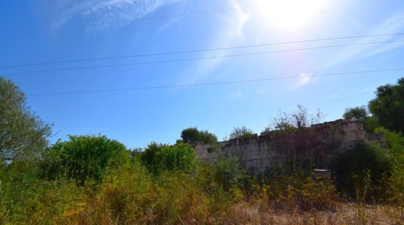 Balearic Islands - Muro - 27770m2