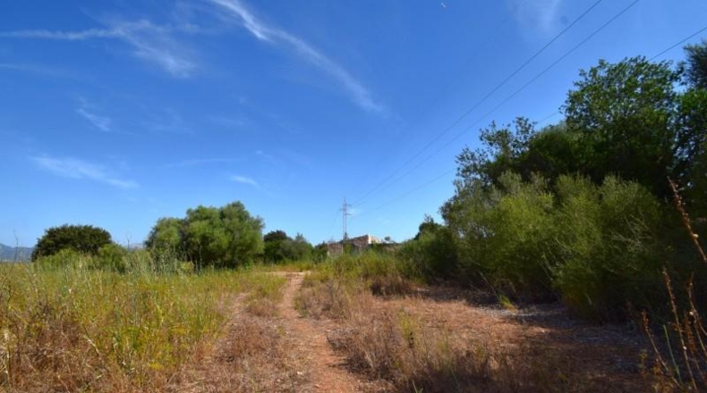 Balearic Islands - Muro - 27770m2