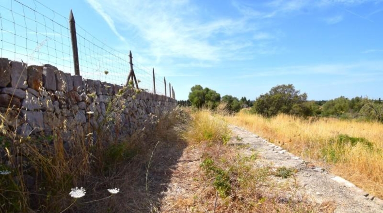 Balearic Islands - Muro - 27770m2