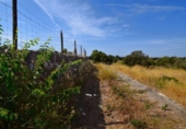 Non-developable land for sale on España, Muro, ref: TR414909 photo