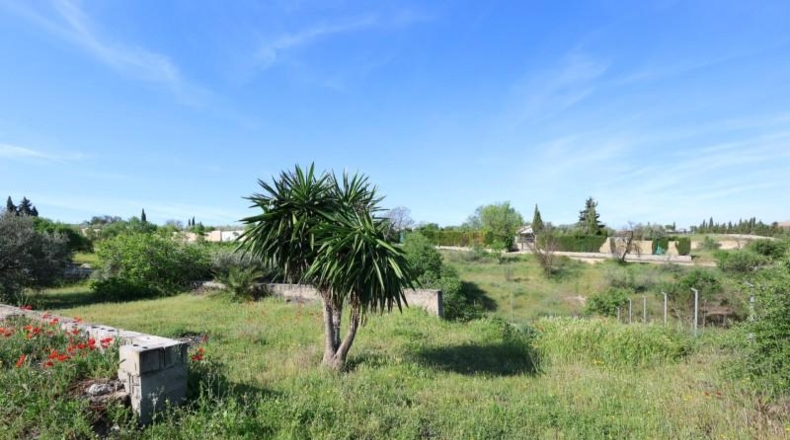 Granada - Moraleda de Zafayona - 25000m2