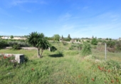 Rural estate for sale on España, Moraleda de Zafayona, ref: TR414912 photo