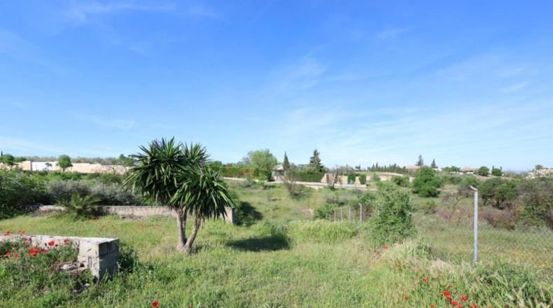 Granada - Moraleda de Zafayona - 25000m2
