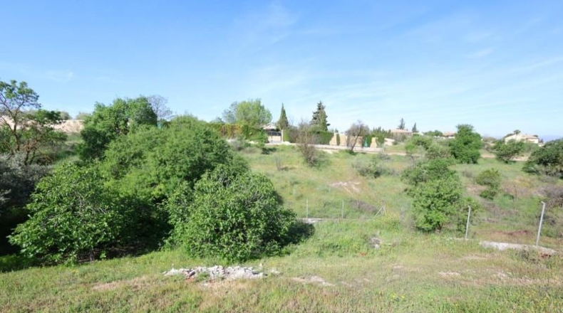 Granada - Moraleda de Zafayona - 25000m2