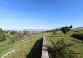 Rural estate for sale on España, Moraleda de Zafayona, ref: TR414912 photo