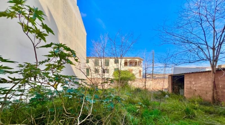 Balearic Islands - Campos - 270m2