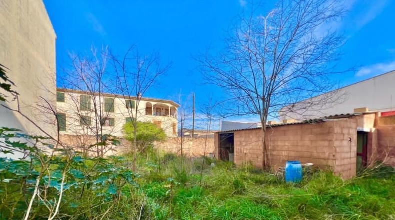 Balearic Islands - Campos - 270m2
