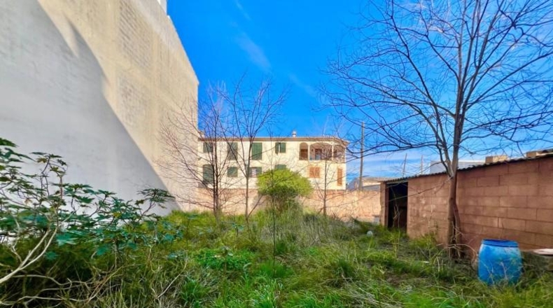 Balearic Islands - Campos - 270m2