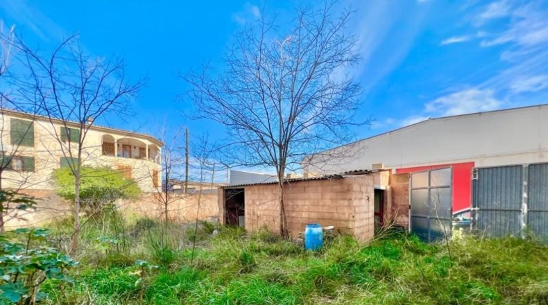 Balearic Islands - Campos - 270m2
