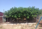 Chalet independiente con terreno en venta en la España, Cartaya, ref: TR414921 foto