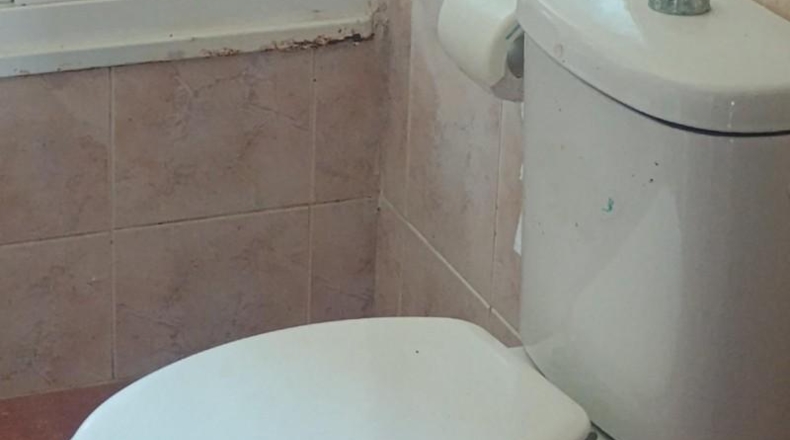 Huelva - Cartaya - 5000m2