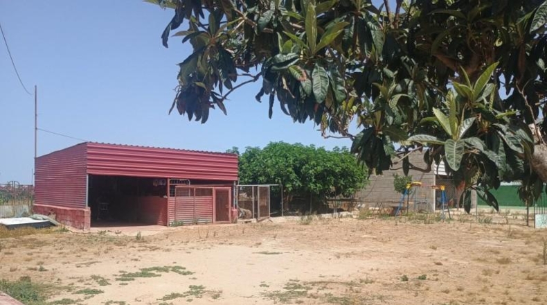 Huelva - Cartaya - 5000m2