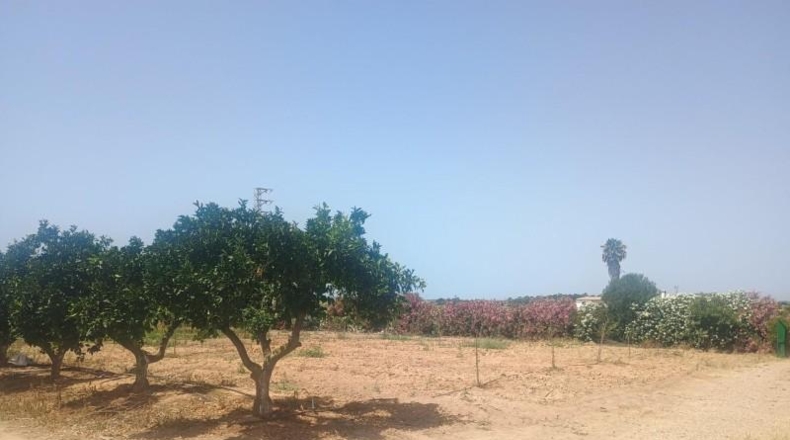 Huelva - Cartaya - 5000m2