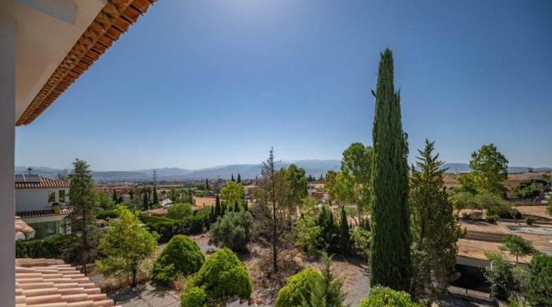 Granada - Gabia Grande - 1550m2