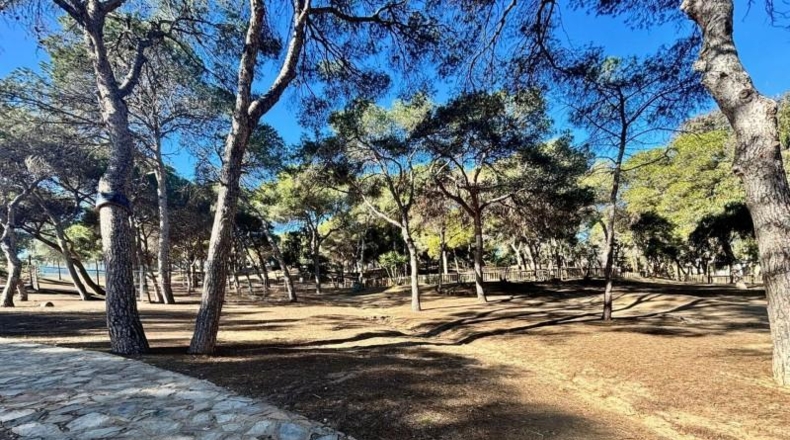 Аликанте - Guardamar del Segura - 245m2