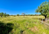 Terreno no urbanizable en venta en la España, Santanyí, ref: TR395238 foto