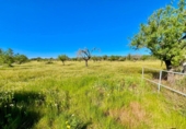 Terreno no urbanizable en venta en la España, Santanyí, ref: TR395238 foto