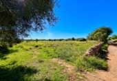 Terreno no urbanizable en venta en la España, Santanyí, ref: TR395238 foto