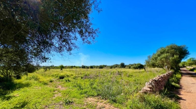 Islas Baleares - Santañy - 18573m2