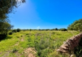 Terreno no urbanizable en venta en la España, Santanyí, ref: TR395238 foto