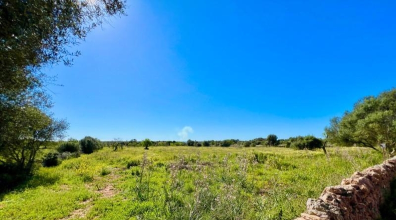 Islas Baleares - Santañy - 18573m2