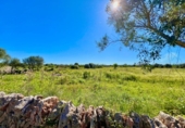 Terreno no urbanizable en venta en la España, Santanyí, ref: TR395238 foto